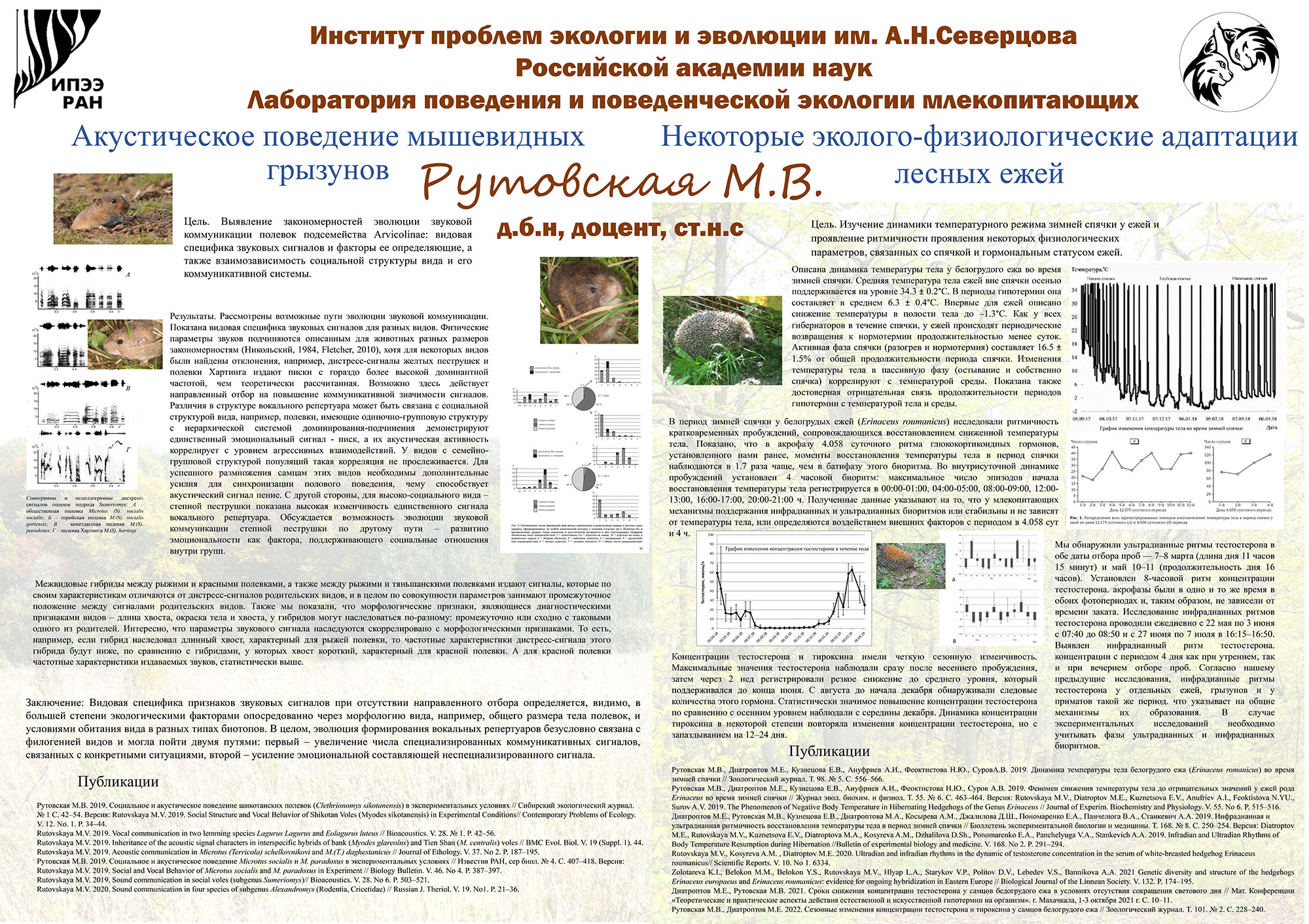Рутовская