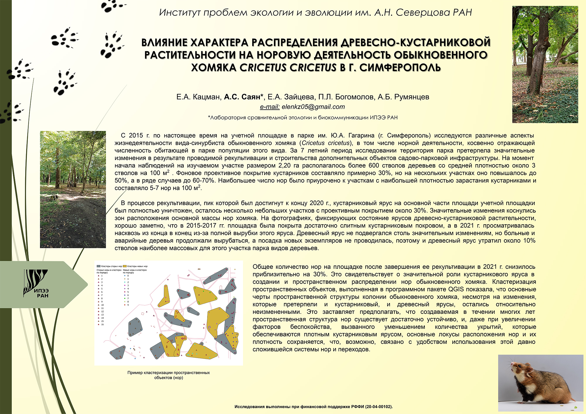 саяг