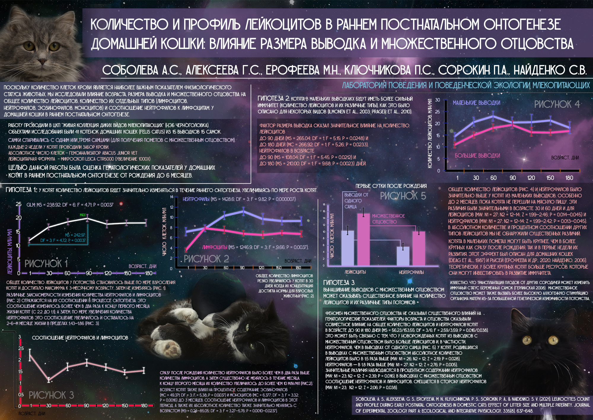 Соболева