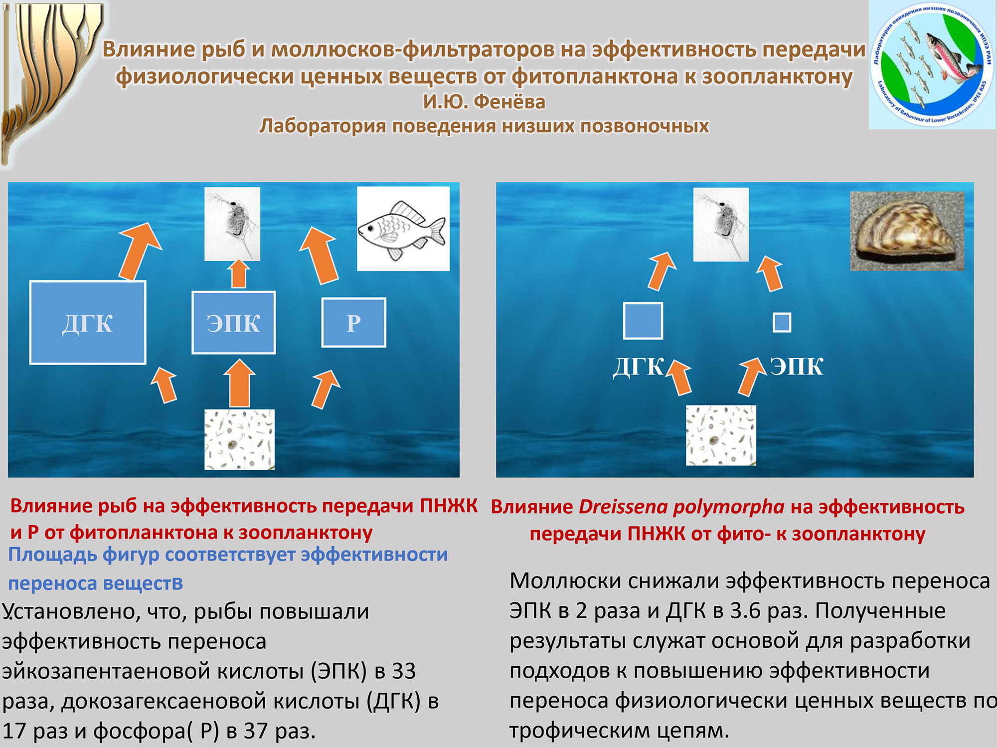 Фенева И.Ю.