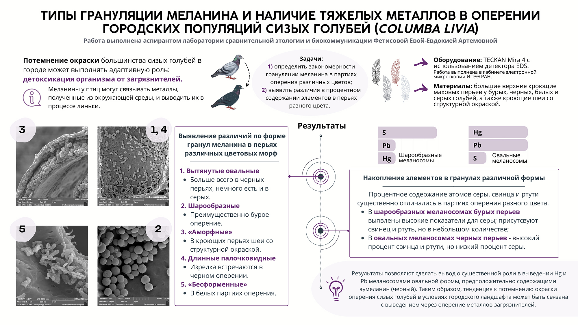 Фетисова