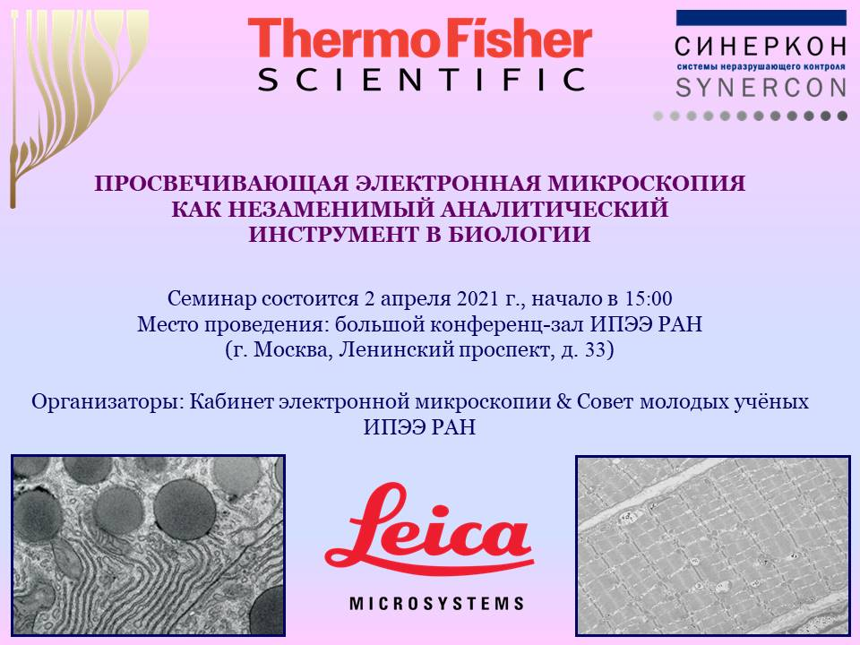 Семинар