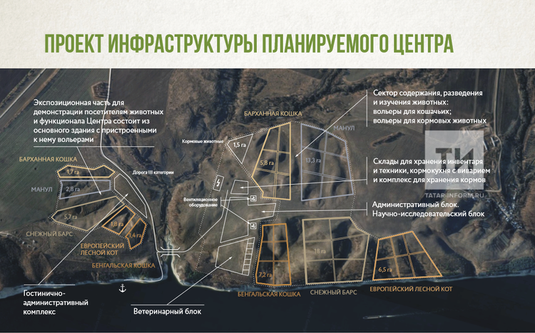 Проект центра