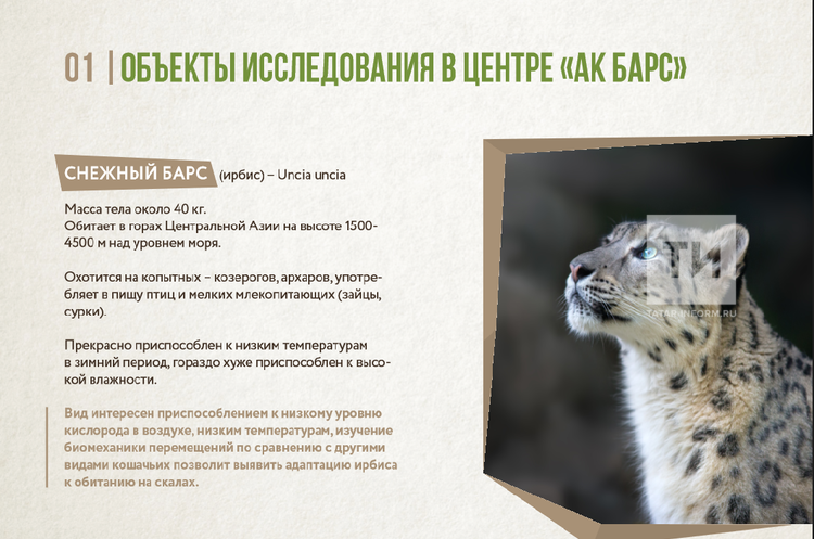 Объекты исследования