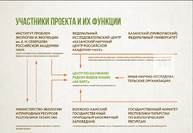 Участники