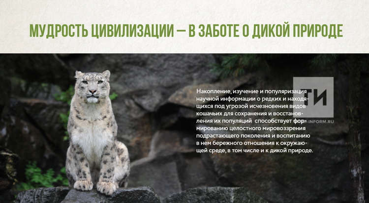 Забота о дикой природе