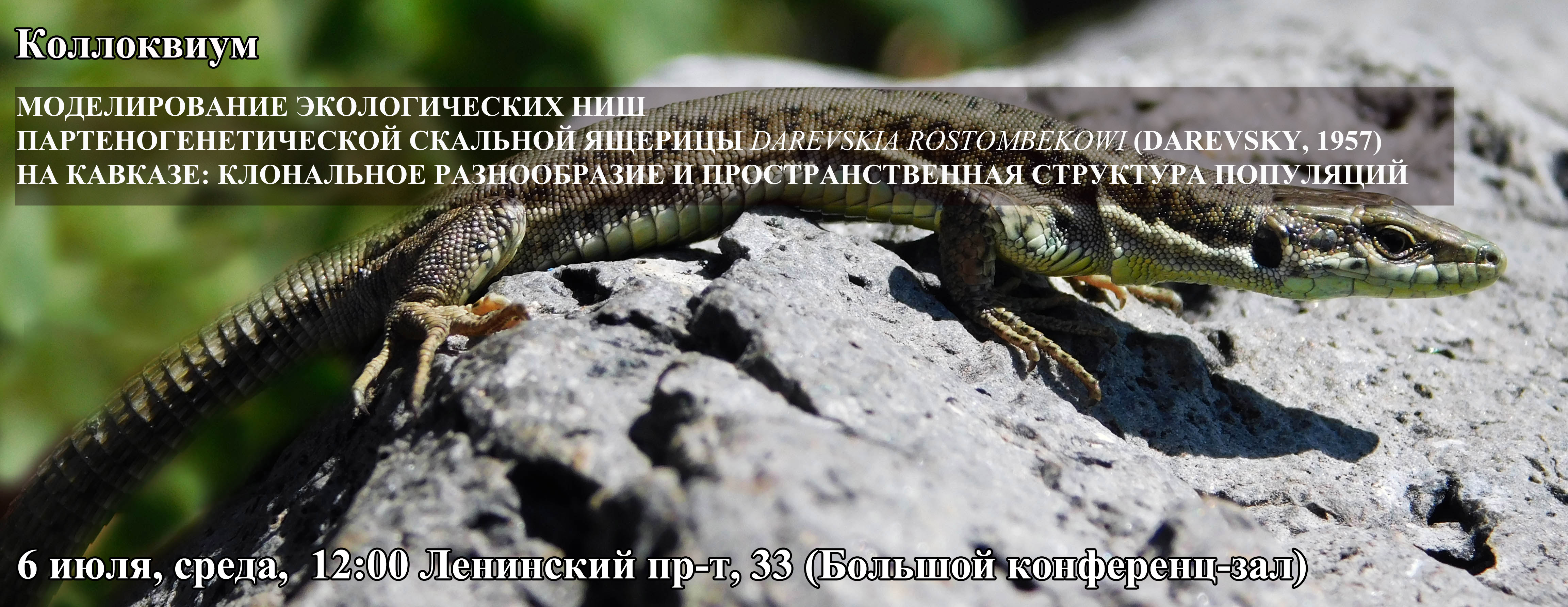 Межлабораторный коллоквиум